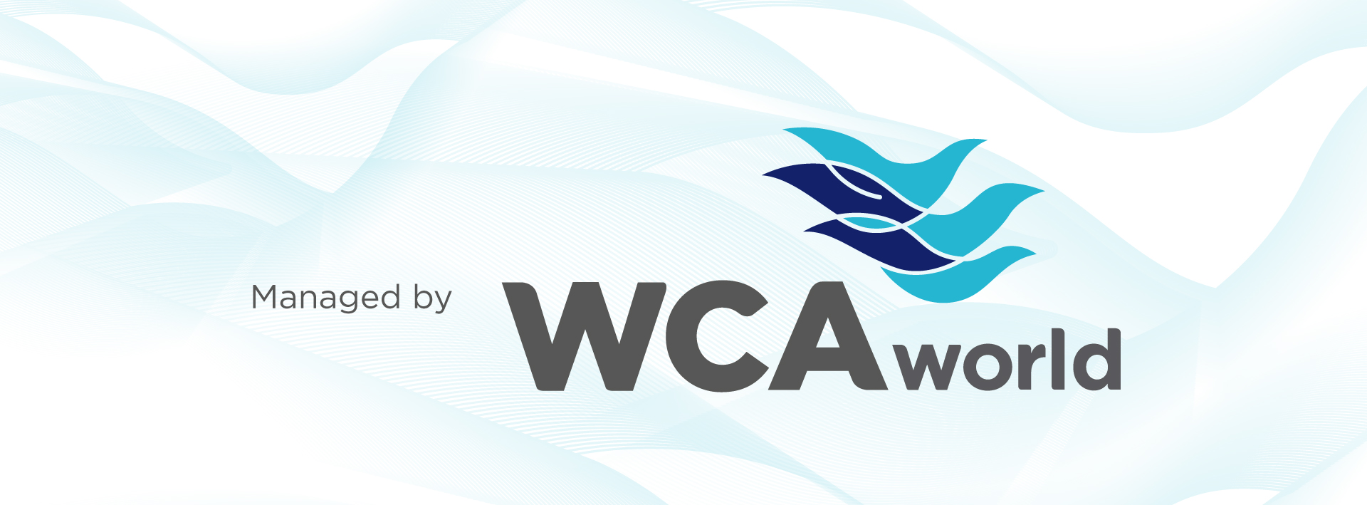 Managed By WCAworld