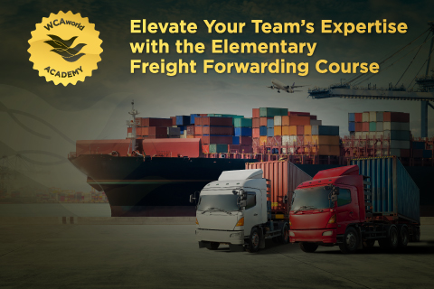 Elevate your team's Expertise with the Elementary Freight Forwarding Course